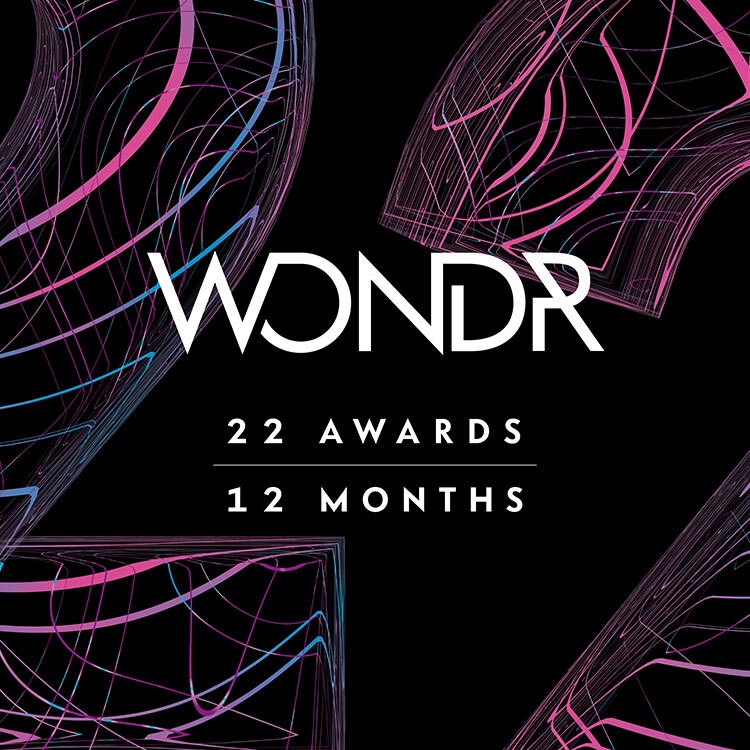 WONDR - 22 Awards - 12 months